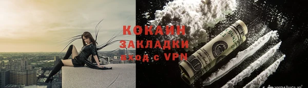 индика Железноводск
