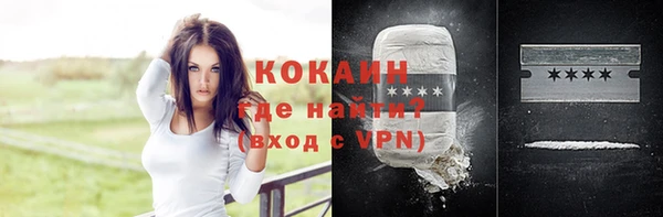 не бодяженный Алексин