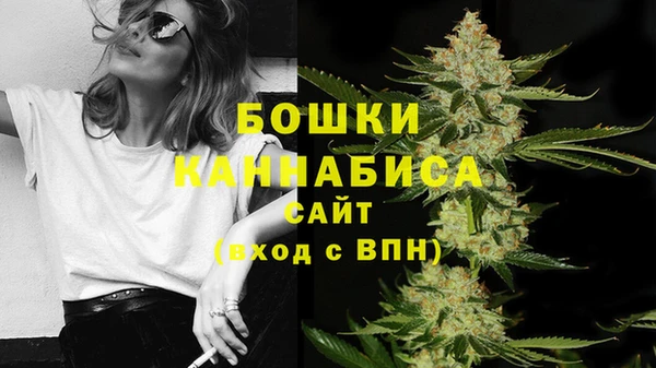 PSILOCYBIN Арсеньев