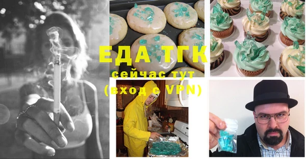 индика Железноводск