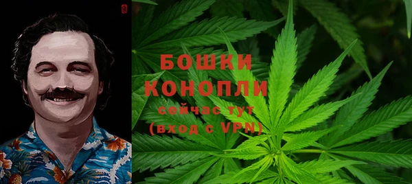 PSILOCYBIN Арсеньев