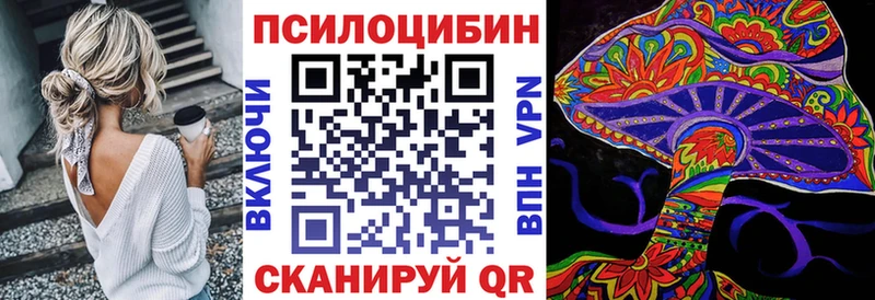 blacksprut зеркало  Красный Кут  Галлюциногенные грибы Magic Shrooms 